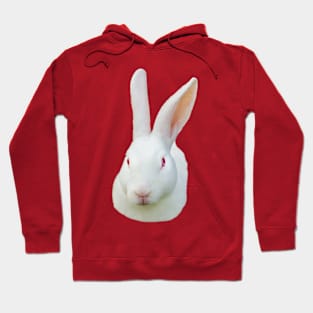 White rabbit Hoodie